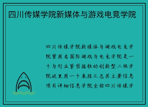 四川传媒学院新媒体与游戏电竞学院